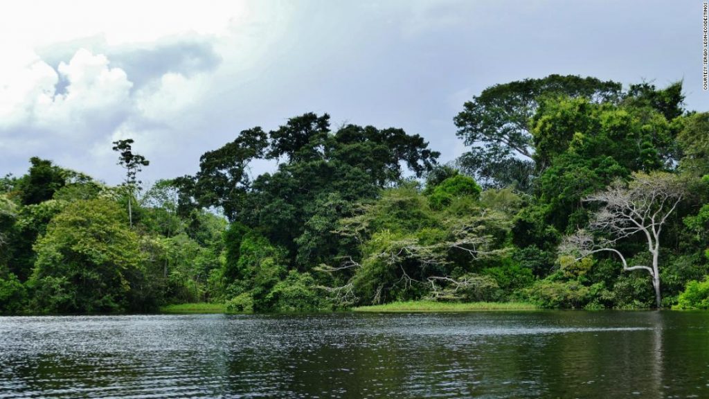 Lake Tarapoto: Piranhas and pink dolphins lure visitors to this Colombian lake