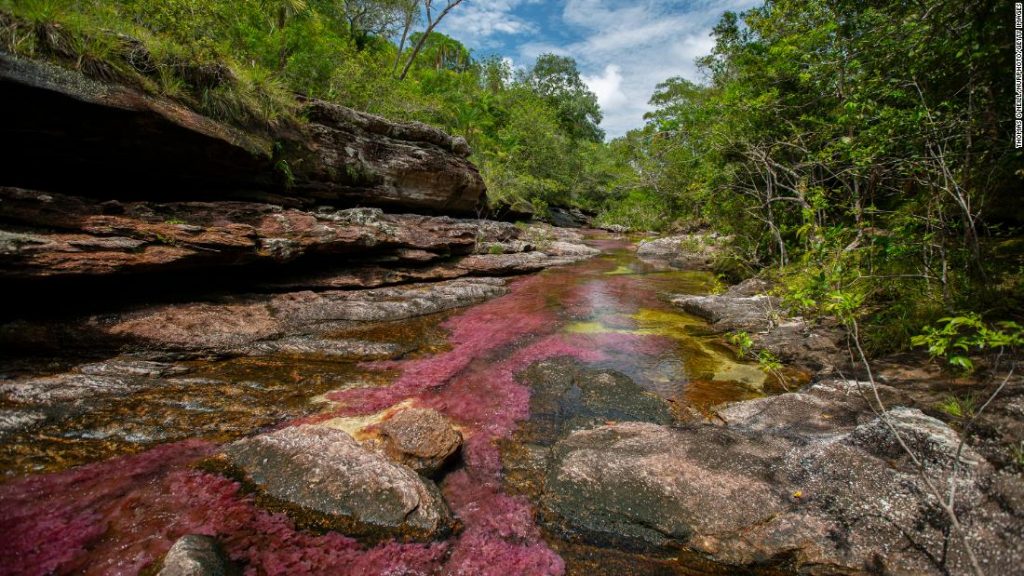 Caño Cristales: Colombia’s spectacular ‘liquid rainbow’