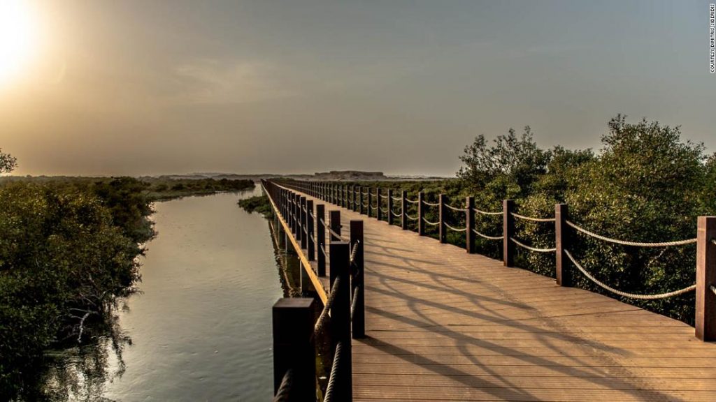 The wetland wonder on the edge of the desert