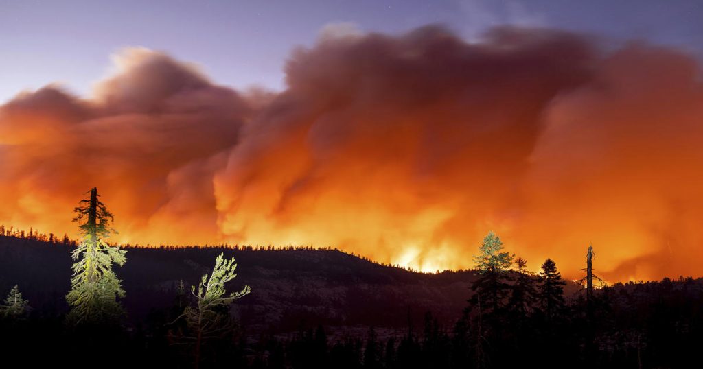 All California national forests to temporarily close due to “wildfire crisis”
