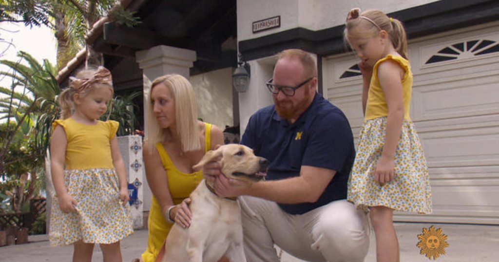 Pet cloning: Man’s best friend, again