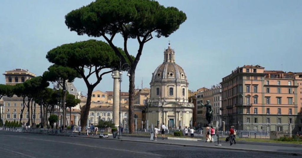 Iconic Roman pine trees at risk from dangerous parasites